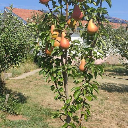 Hotel Cider&Squash, Grncarska 8, Prnjavor Batocina Ngoại thất bức ảnh