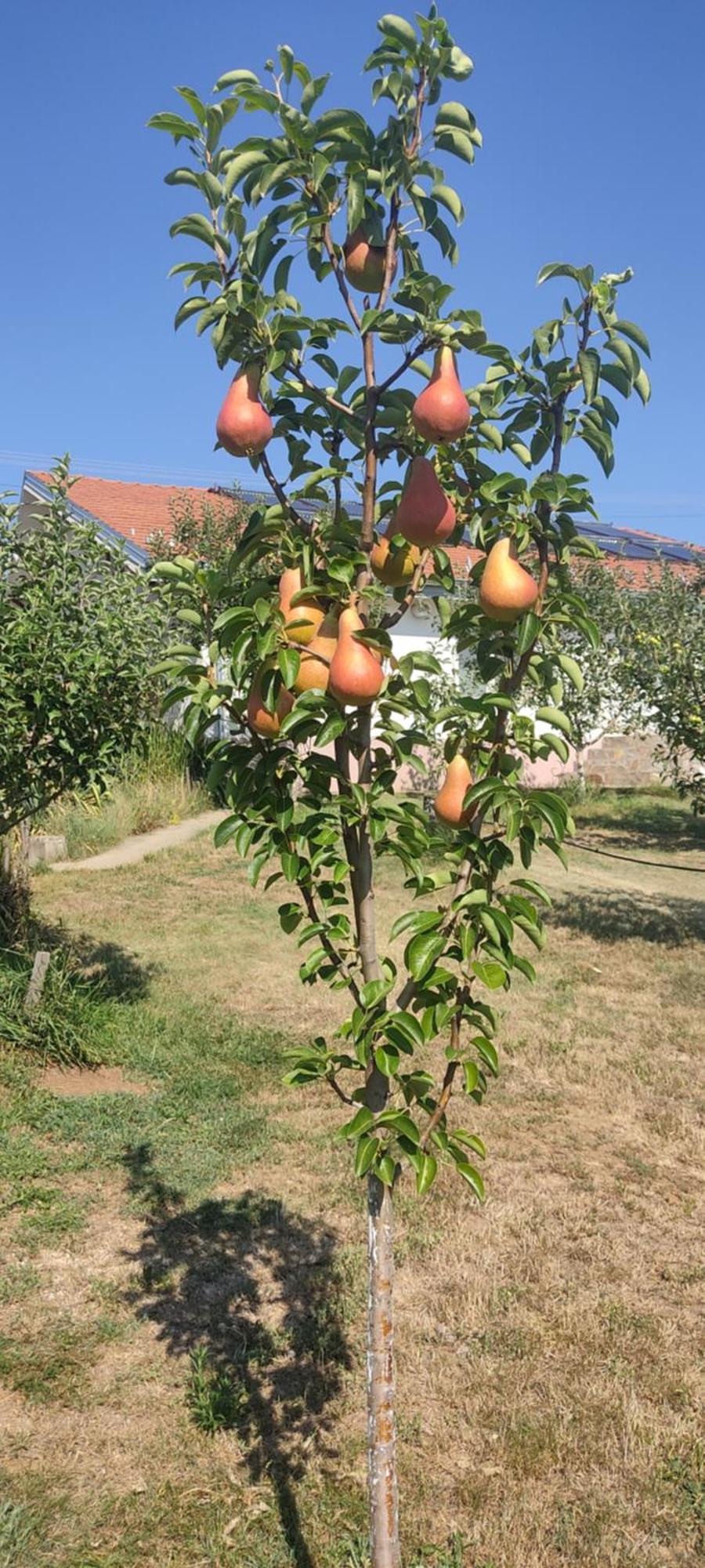 Hotel Cider&Squash, Grncarska 8, Prnjavor Batocina Ngoại thất bức ảnh