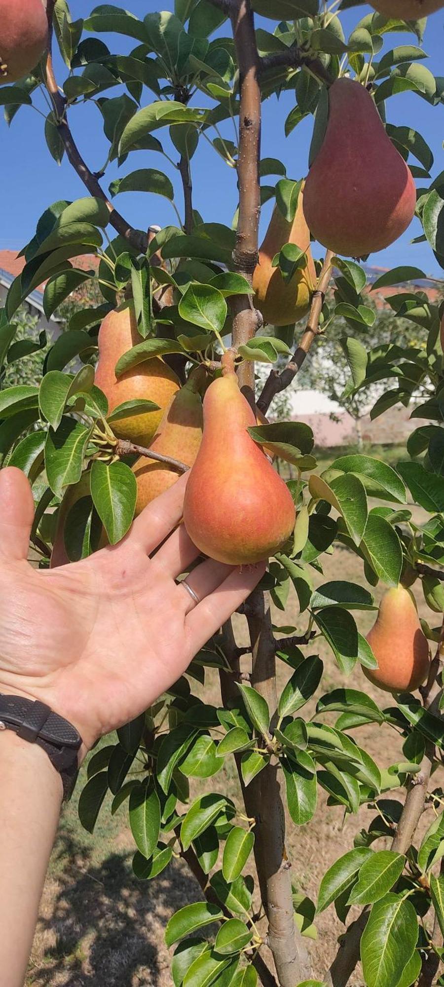 Hotel Cider&Squash, Grncarska 8, Prnjavor Batocina Ngoại thất bức ảnh